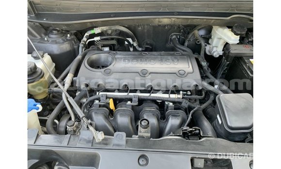 Buy Import Kia Sportage Black Car in Import - Dubai in Antigua Buy Import Kia Sportage Black Car in Import - Dubai in Antigua