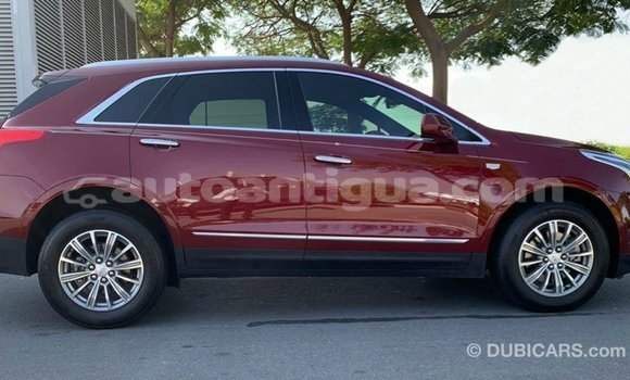 Buy Import Cadillac XT5 Red Car in Import - Dubai in Antigua Buy Import Cadillac XT5 Red Car in Import - Dubai in Antigua