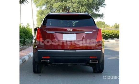 Buy Import Cadillac XT5 Red Car in Import - Dubai in Antigua Buy Import Cadillac XT5 Red Car in Import - Dubai in Antigua