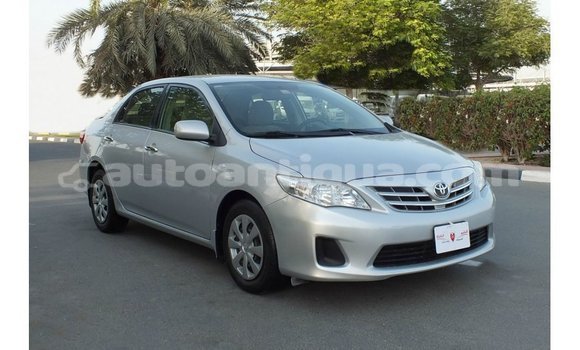 Buy Import Toyota Corolla Other Car in Import - Dubai in Antigua
