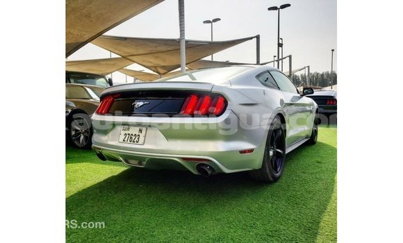 Buy Import Ford Mustang Other Car in Import - Dubai in Antigua Buy Import Ford Mustang Other Car in Import - Dubai in Antigua