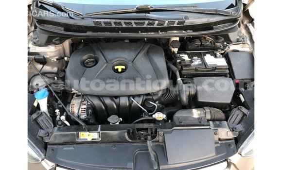 Buy Import Hyundai Elantra Brown Car in Import - Dubai in Antigua Buy Import Hyundai Elantra Brown Car in Import - Dubai in Antigua