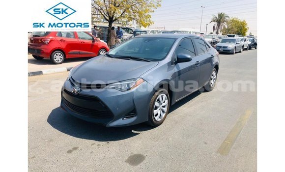 Buy Import Toyota Corolla Other Car in Import - Dubai in Antigua