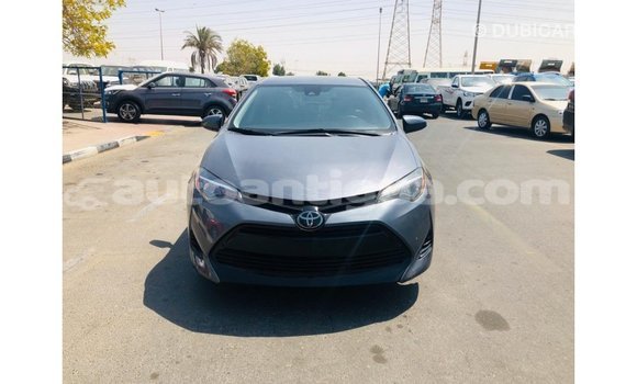 Buy Import Toyota Corolla Other Car in Import - Dubai in Antigua Buy Import Toyota Corolla Other Car in Import - Dubai in Antigua