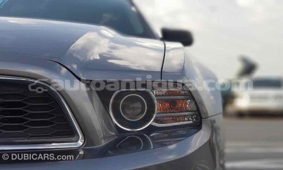Buy Import Ford Mustang Other Car in Import - Dubai in Antigua Buy Import Ford Mustang Other Car in Import - Dubai in Antigua