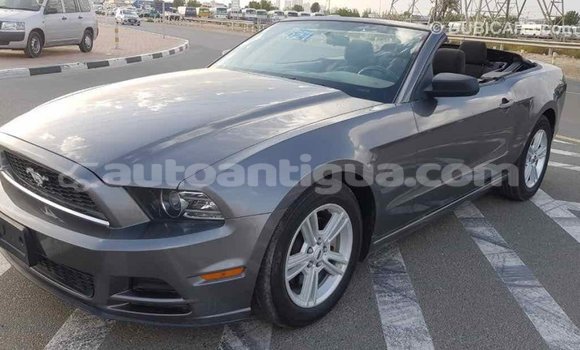 Buy Import Ford Mustang Other Car in Import - Dubai in Antigua Buy Import Ford Mustang Other Car in Import - Dubai in Antigua