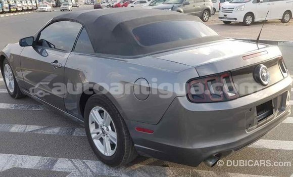 Buy Import Ford Mustang Other Car in Import - Dubai in Antigua Buy Import Ford Mustang Other Car in Import - Dubai in Antigua