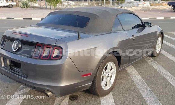 Buy Import Ford Mustang Other Car in Import - Dubai in Antigua Buy Import Ford Mustang Other Car in Import - Dubai in Antigua