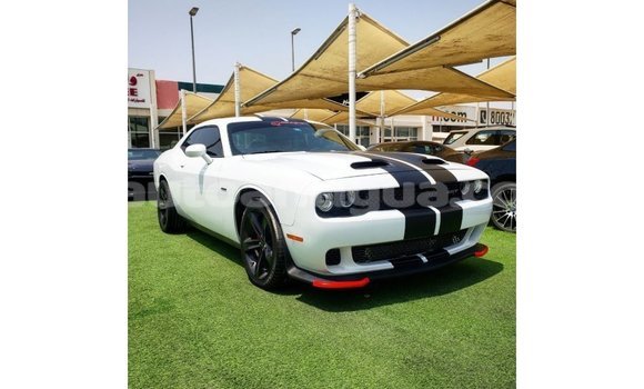 Buy Import Dodge Challenger White Car in Import - Dubai in Antigua