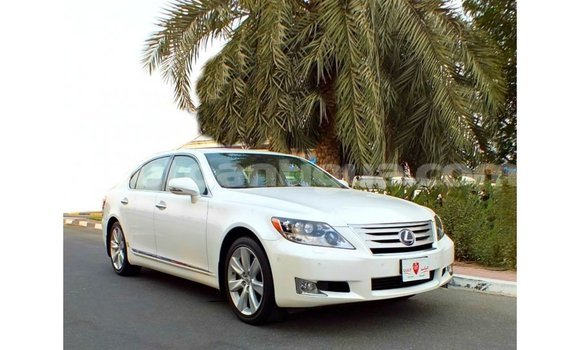 Buy Import Lexus LS White Car in Import - Dubai in Antigua
