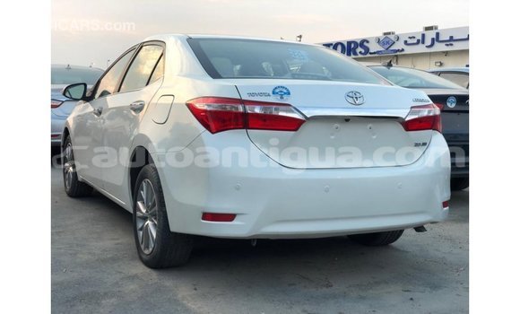 Buy Import Toyota Corolla White Car in Import - Dubai in Antigua Buy Import Toyota Corolla White Car in Import - Dubai in Antigua