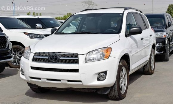 Buy Import Toyota HiAce White Truck in Import - Dubai in Antigua Buy Import Toyota HiAce White Truck in Import - Dubai in Antigua