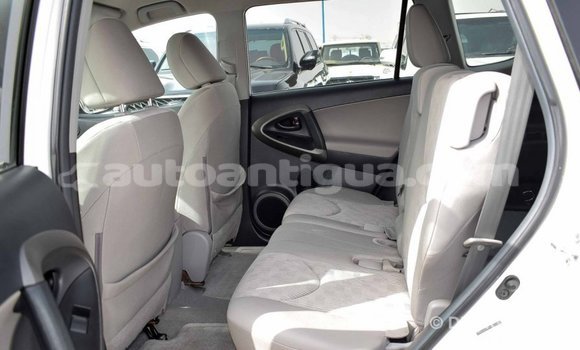 Buy Import Toyota HiAce White Truck in Import - Dubai in Antigua Buy Import Toyota HiAce White Truck in Import - Dubai in Antigua