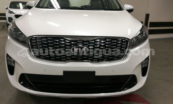 Buy Import Kia Sorento White Car in Import - Dubai in Antigua Buy Import Kia Sorento White Car in Import - Dubai in Antigua