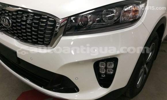Buy Import Kia Sorento White Car in Import - Dubai in Antigua Buy Import Kia Sorento White Car in Import - Dubai in Antigua
