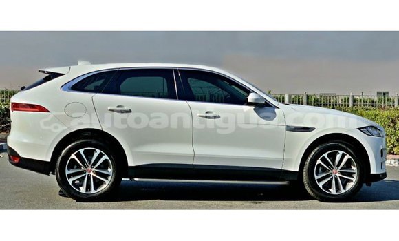 Buy Import Jaguar F-Pace White Car in Import - Dubai in Antigua Buy Import Jaguar F-Pace White Car in Import - Dubai in Antigua