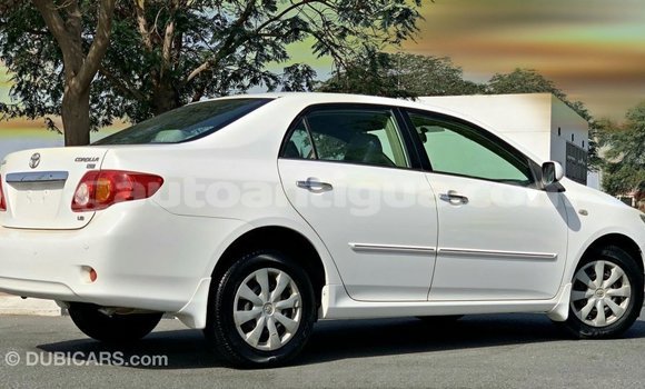 Buy Import Toyota Corolla White Car in Import - Dubai in Antigua Buy Import Toyota Corolla White Car in Import - Dubai in Antigua