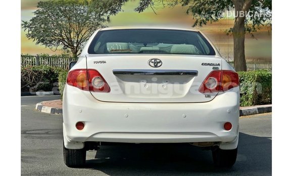 Buy Import Toyota Corolla White Car in Import - Dubai in Antigua Buy Import Toyota Corolla White Car in Import - Dubai in Antigua