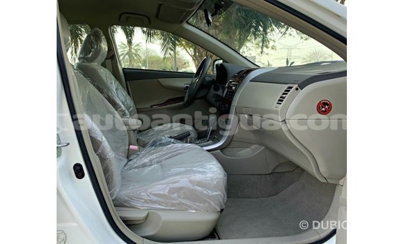 Buy Import Toyota Corolla White Car in Import - Dubai in Antigua Buy Import Toyota Corolla White Car in Import - Dubai in Antigua