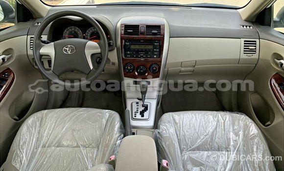 Buy Import Toyota Corolla White Car in Import - Dubai in Antigua Buy Import Toyota Corolla White Car in Import - Dubai in Antigua