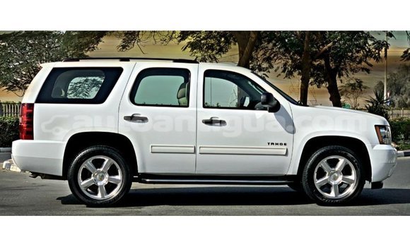 Buy Import Chevrolet Tahoe White Car in Import - Dubai in Antigua Buy Import Chevrolet Tahoe White Car in Import - Dubai in Antigua