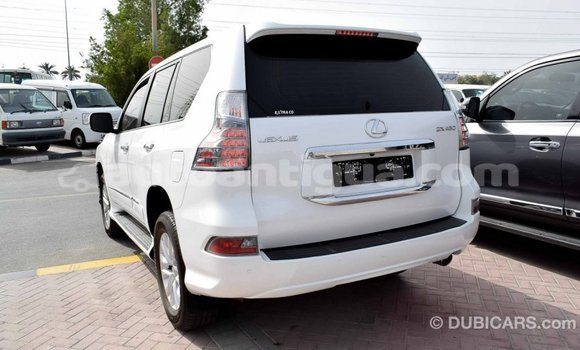 Buy Import Lexus GX White Car in Import - Dubai in Antigua Buy Import Lexus GX White Car in Import - Dubai in Antigua