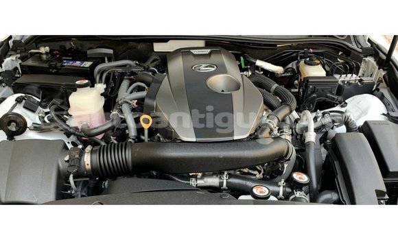 Buy Import Lexus IS White Car in Import - Dubai in Antigua Buy Import Lexus IS White Car in Import - Dubai in Antigua