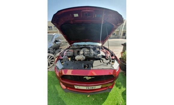 Buy Import Ford Mustang Red Car in Import - Dubai in Antigua Buy Import Ford Mustang Red Car in Import - Dubai in Antigua