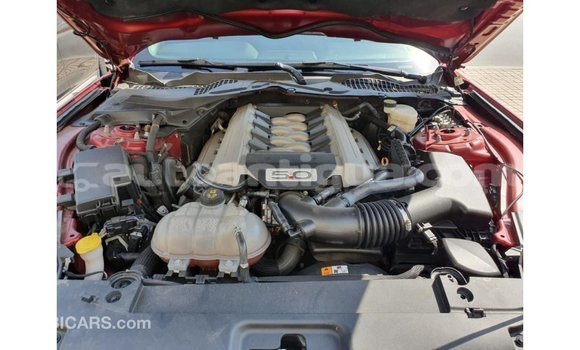 Buy Import Ford Mustang Red Car in Import - Dubai in Antigua Buy Import Ford Mustang Red Car in Import - Dubai in Antigua