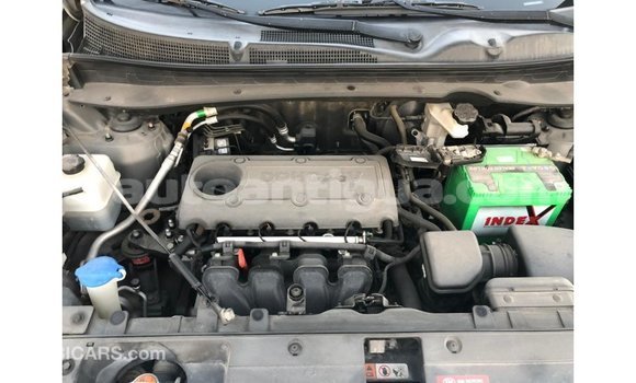 Buy Import Kia Sportage Other Car in Import - Dubai in Antigua Buy Import Kia Sportage Other Car in Import - Dubai in Antigua