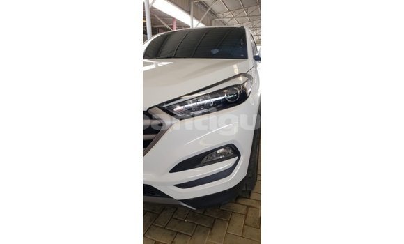 Buy Import Hyundai Tucson White Car in Import - Dubai in Antigua Buy Import Hyundai Tucson White Car in Import - Dubai in Antigua
