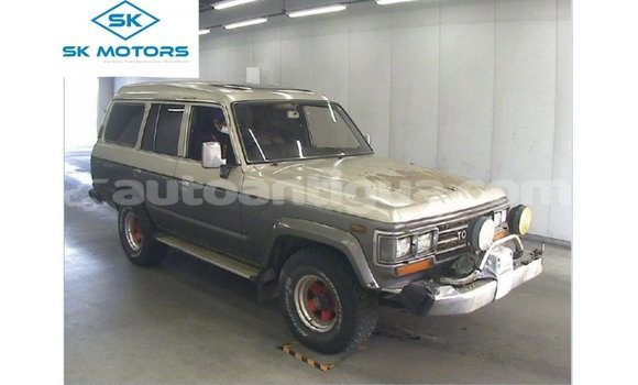 Buy Import Toyota Land Cruiser Other Car in Import - Dubai in Antigua