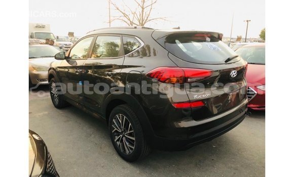 Buy Import Hyundai Tucson Brown Car in Import - Dubai in Antigua Buy Import Hyundai Tucson Brown Car in Import - Dubai in Antigua