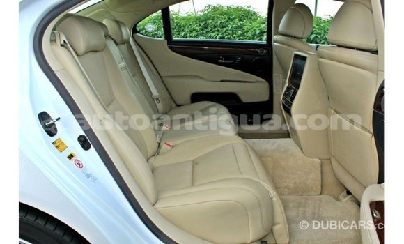 Buy Import Lexus LS White Car in Import - Dubai in Antigua Buy Import Lexus LS White Car in Import - Dubai in Antigua
