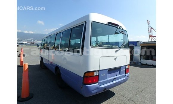 Buy Import Toyota Coaster White Car in Import - Dubai in Antigua Buy Import Toyota Coaster White Car in Import - Dubai in Antigua