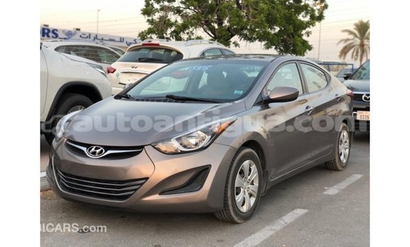 Buy Import Hyundai Elantra Brown Car in Import - Dubai in Antigua Buy Import Hyundai Elantra Brown Car in Import - Dubai in Antigua