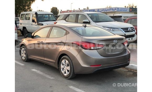 Buy Import Hyundai Elantra Brown Car in Import - Dubai in Antigua Buy Import Hyundai Elantra Brown Car in Import - Dubai in Antigua