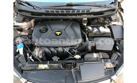 Buy Import Hyundai Elantra Brown Car in Import - Dubai in Antigua Buy Import Hyundai Elantra Brown Car in Import - Dubai in Antigua
