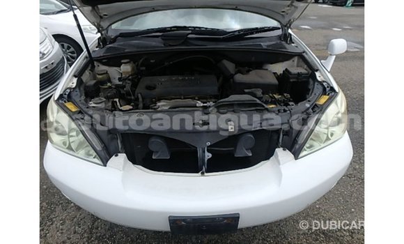 Buy Import Toyota Harrier White Car in Import - Dubai in Antigua Buy Import Toyota Harrier White Car in Import - Dubai in Antigua