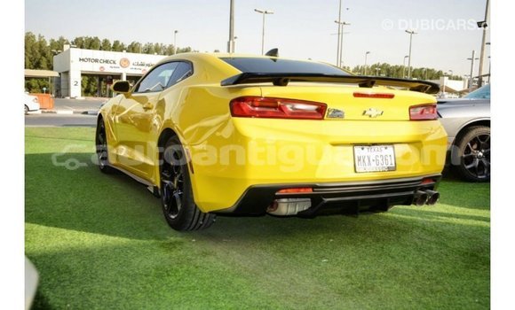 Buy Import Chevrolet Camaro Other Car in Import - Dubai in Antigua Buy Import Chevrolet Camaro Other Car in Import - Dubai in Antigua