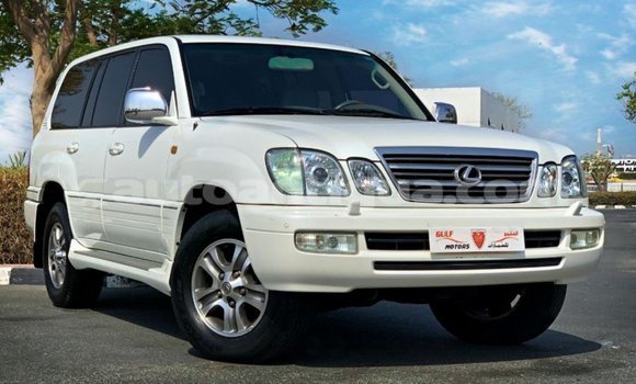 Buy Import Lexus LX White Car in Import - Dubai in Antigua