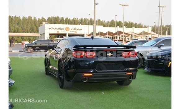 Buy Import Chevrolet Camaro Black Car in Import - Dubai in Antigua Buy Import Chevrolet Camaro Black Car in Import - Dubai in Antigua