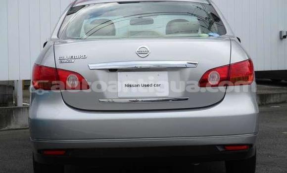 Buy Import Nissan Bluebird Sylphy Silver Car in St John's in Antigua Buy Import Nissan Bluebird Sylphy Silver Car in St John's in Antigua