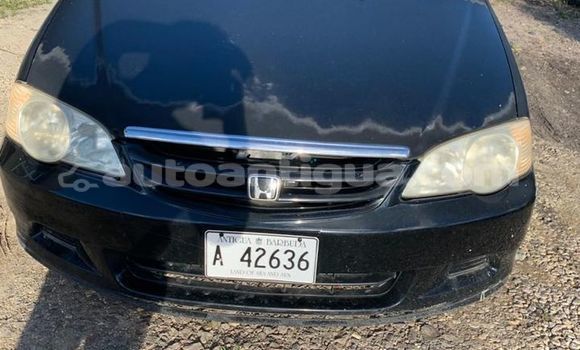 Buy Used Honda Odyssey Black Car in Piggotts in Antigua