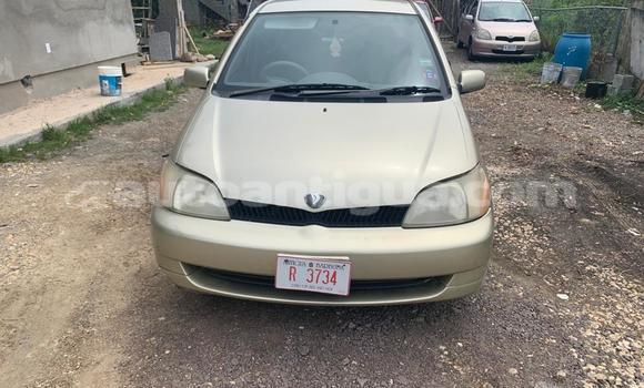 Buy Used Toyota Platz Brown Car in Piggotts in Antigua
