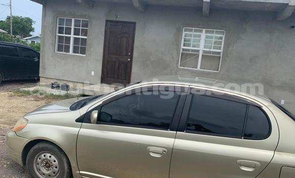 Buy Used Toyota Platz Brown Car in Piggotts in Antigua Buy Used Toyota Platz Brown Car in Piggotts in Antigua