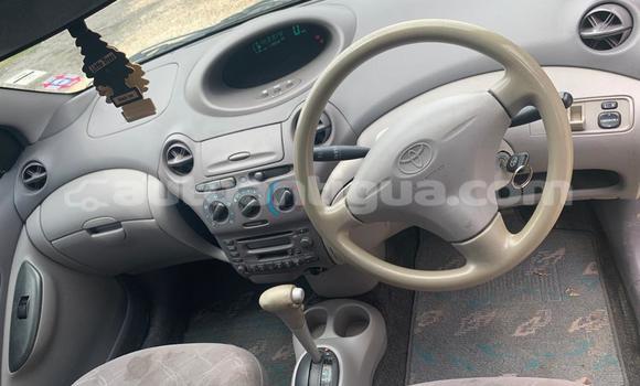 Buy Used Toyota Platz Brown Car in Piggotts in Antigua Buy Used Toyota Platz Brown Car in Piggotts in Antigua