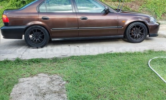 Buy Used Honda Civic Brown Car in St John's in Antigua Buy Used Honda Civic Brown Car in St John's in Antigua