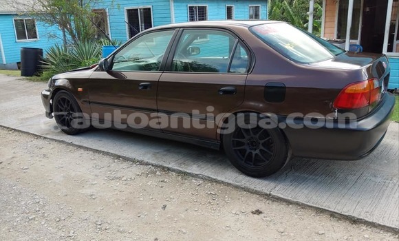 Buy Used Honda Civic Brown Car in St John's in Antigua Buy Used Honda Civic Brown Car in St John's in Antigua