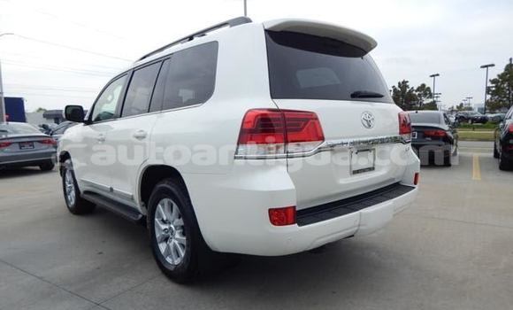 Buy Used Toyota Land Cruiser White Car in Bolands in Antigua Buy Used Toyota Land Cruiser White Car in Bolands in Antigua